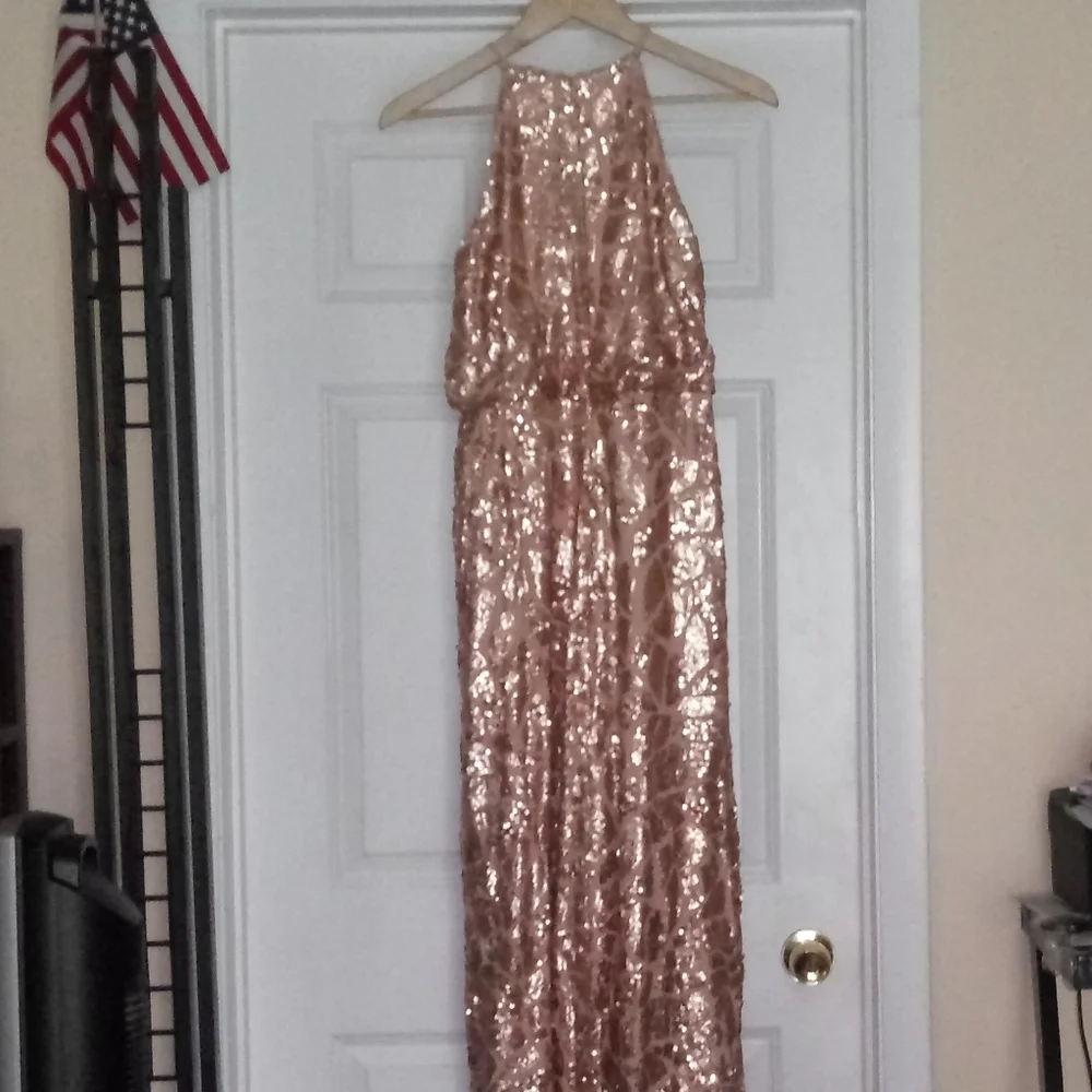 Donna Morgan Tiffany Sequin Gown Size 2